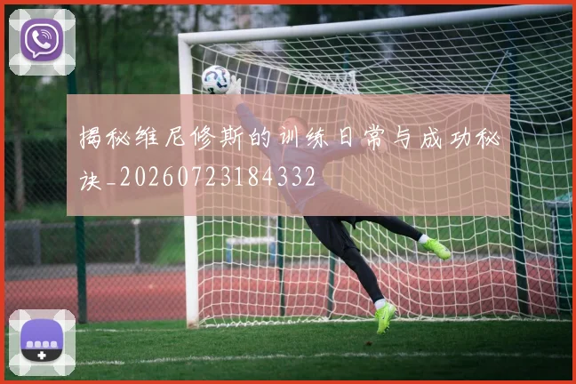 揭秘维尼修斯的训练日常与成功秘诀_20260723184332