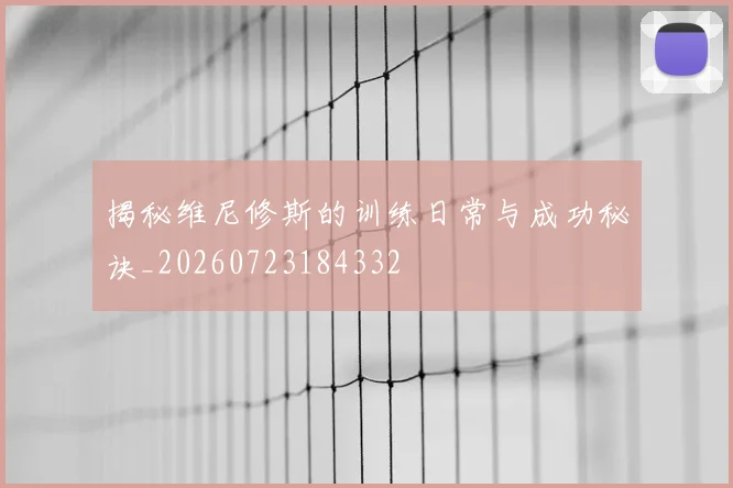 揭秘维尼修斯的训练日常与成功秘诀_20260723184332